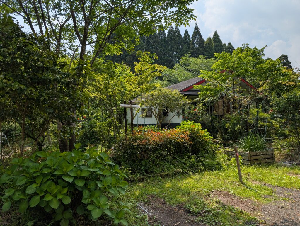 森のしずく（日置市）