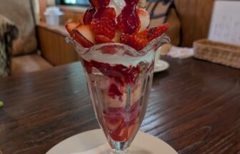 【日置市】緑に囲まれた癒やしのカフェでランチとスイーツを堪能！『森のしずく』